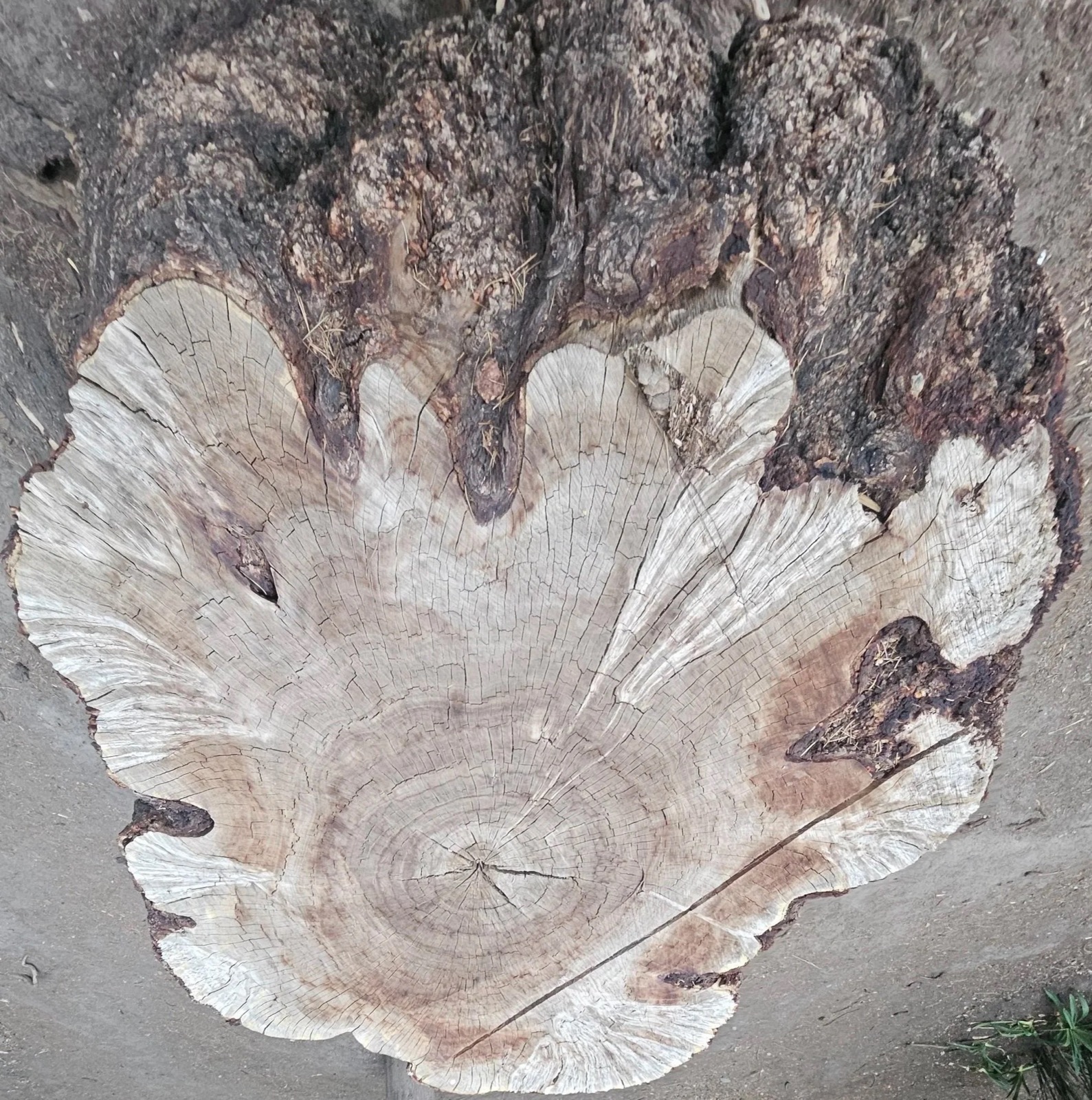 Más de 40 años de experiencia en consultoría