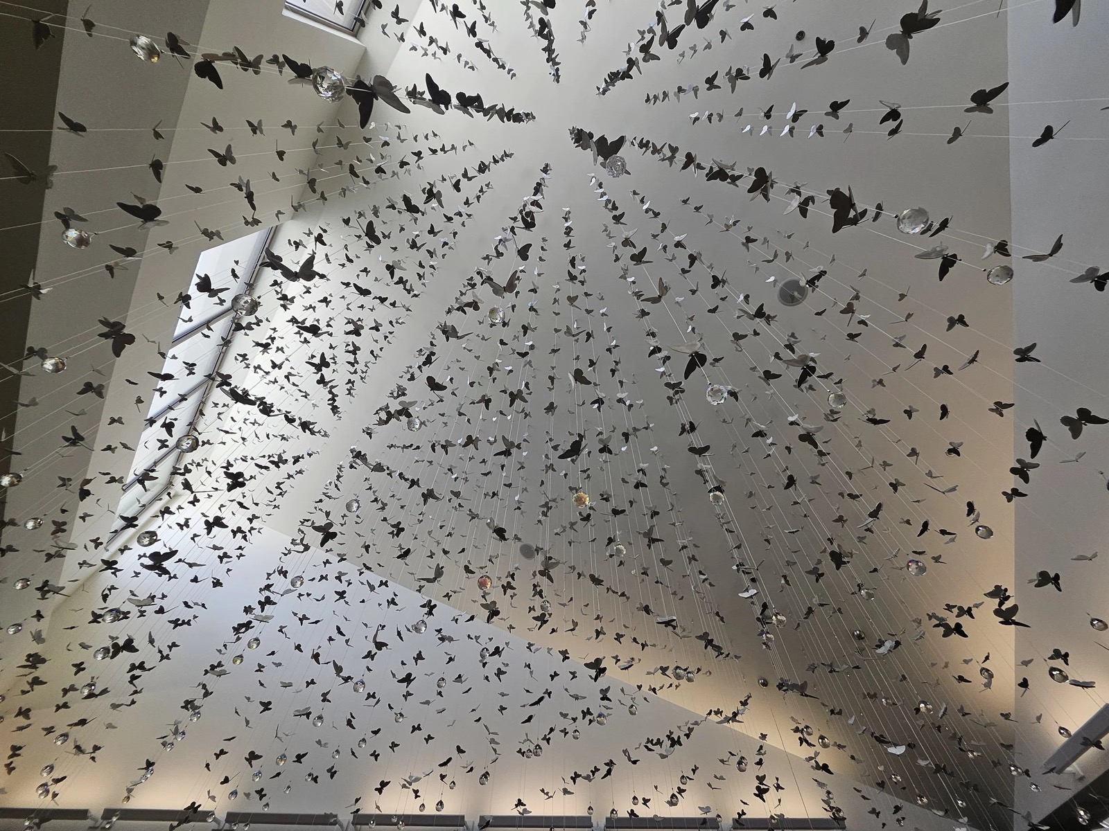 Incorporaciones tecnológicas para industria